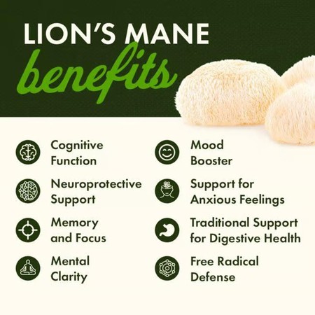 Swanson Full Spectrum Lion’s Mane Mushroom 500 mg 60 kapsúl
