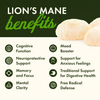 Swanson Full Spectrum Lion’s Mane Mushroom 500 mg 60 kapsúl