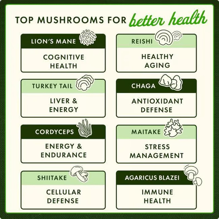 Swanson Full Spectrum Lion’s Mane Mushroom 500 mg 60 kapsúl